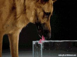 当画面全部慢下来的时候,当画面定格在一瞬间