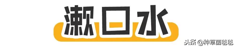 女人办公室必备物品,女生办公必备物品