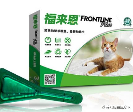 幼猫十大禁忌事件,幼猫要怎么驱虫和疫苗