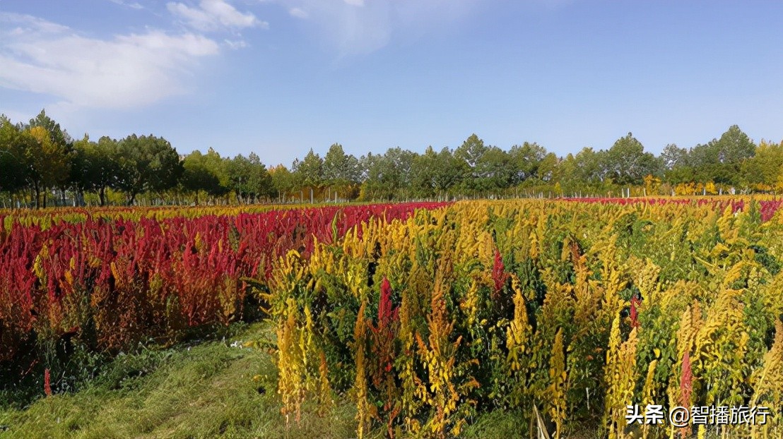 多彩美乌兰，风光无限美