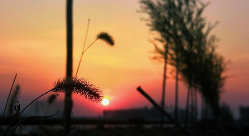 曾国藩的十句话不能看,曾国藩永远不能说出口的6句话