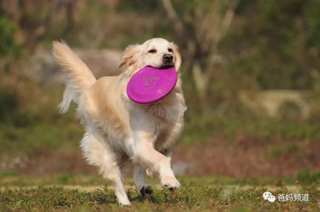 好玩又轻松的户外运动,让你又爱又恨的户外运动