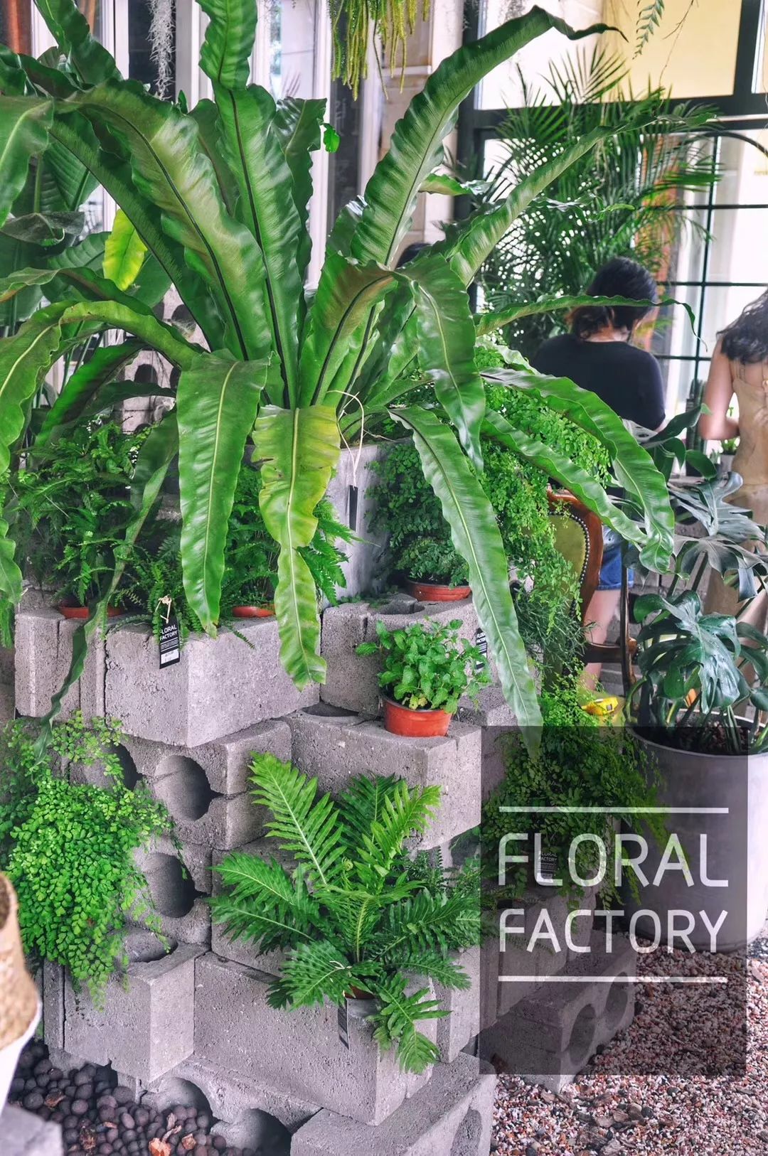 爆改废弃工厂，看三个姑娘如何施展植物魔法