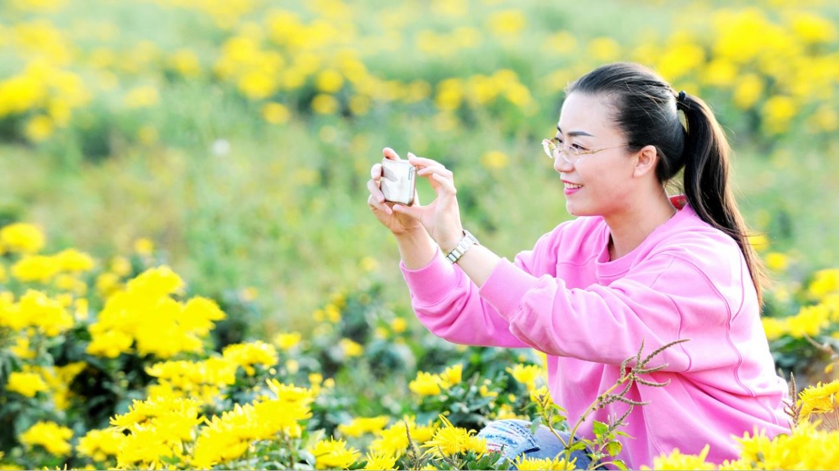 开封通许39届菊花文化节开幕式,2022年开封菊花文化节开幕式