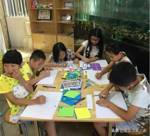 农村人干什么副业赚钱好,适合农村妇女在家挣钱的兼职