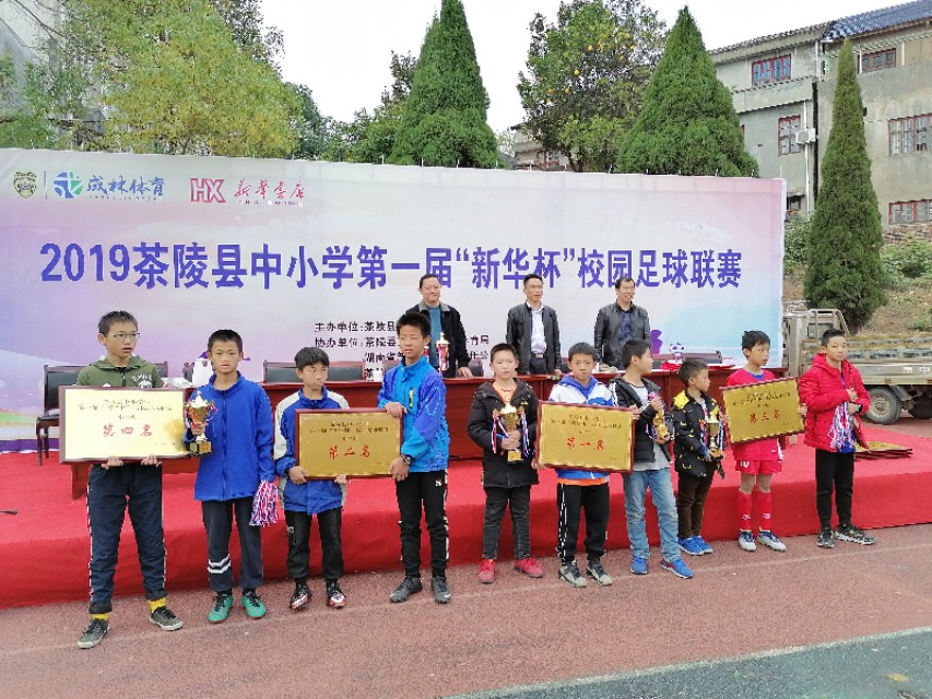 茶陵县足球联赛,茶陵城西小学足球赛