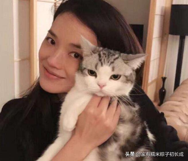 接触宠物感染,怎么防止宠物感染病毒