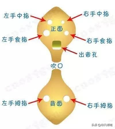 六孔陶笛新手入门全教程,六孔陶笛教学入门零基础自学