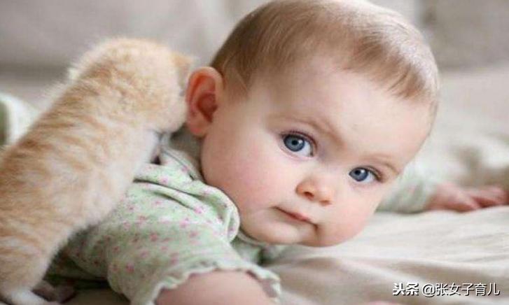 宝宝头旋处脑袋很平,宝宝脑袋跳动的叫什么