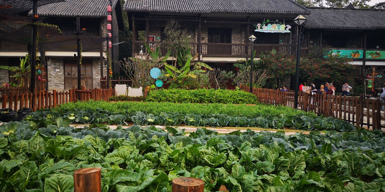 深圳甘坑客家小镇春节旅游,深圳古镇甘坑客家小镇攻略