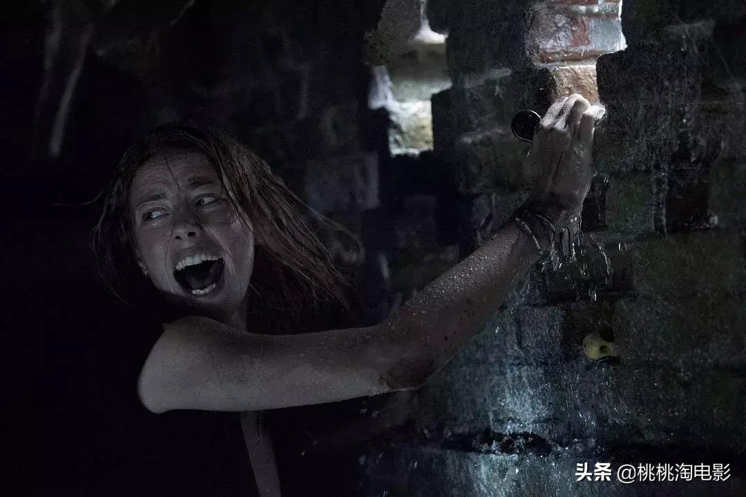 《诛仙》《小小的心愿》《名侦探柯南》，最强中秋档来了