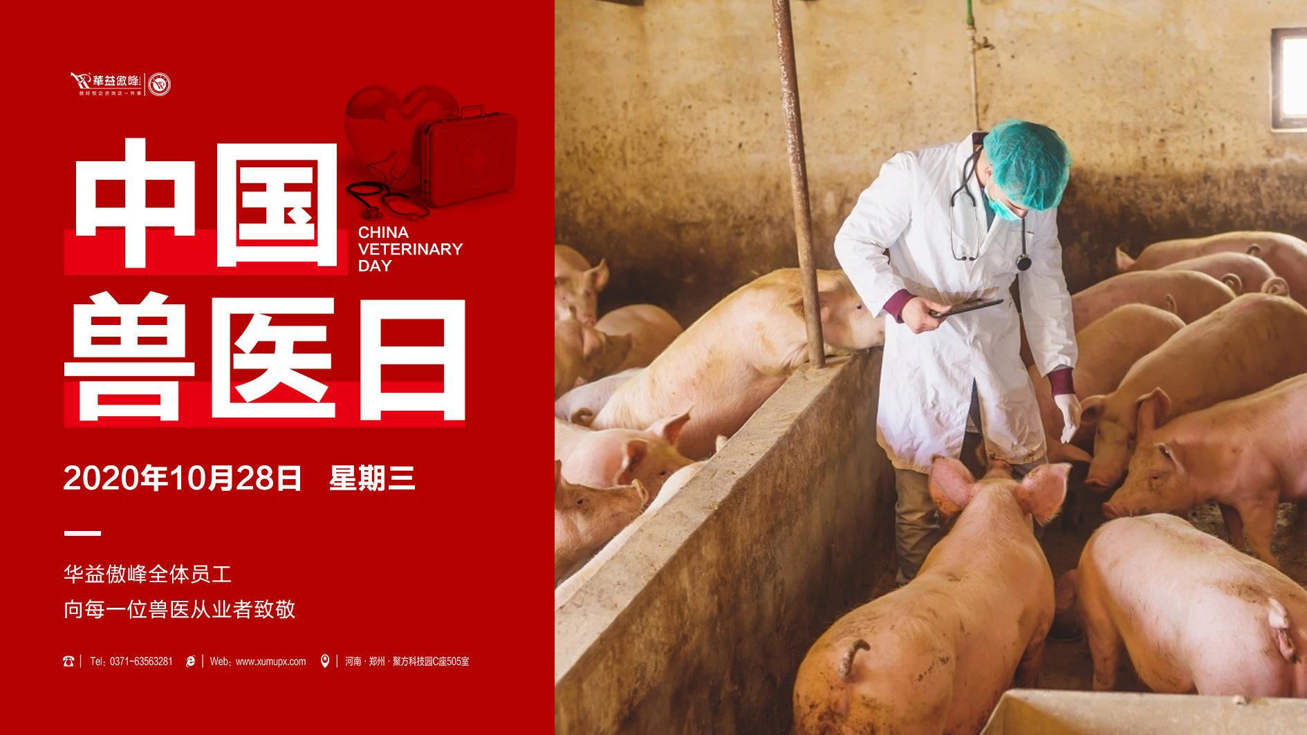 中国兽医日策划,10月28日全国兽医日