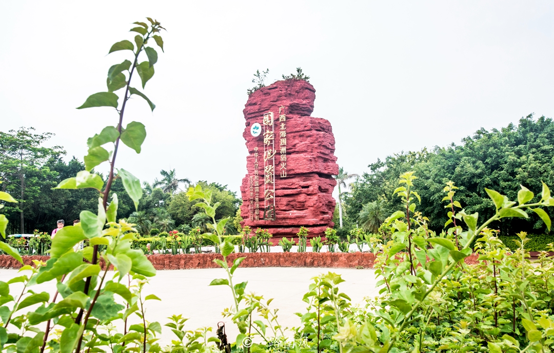 东北人来到广西北海定居,广西北海东北人有多少