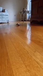 网上买的连衣裙到货了，店家连夜打电话跪求删除好评照片太尴尬了