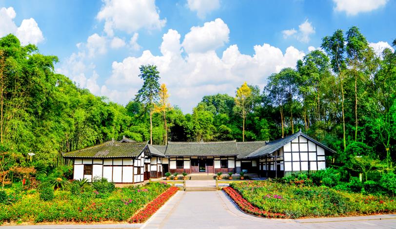 一只果，一座城！品尝龙安柚，爱上金广安