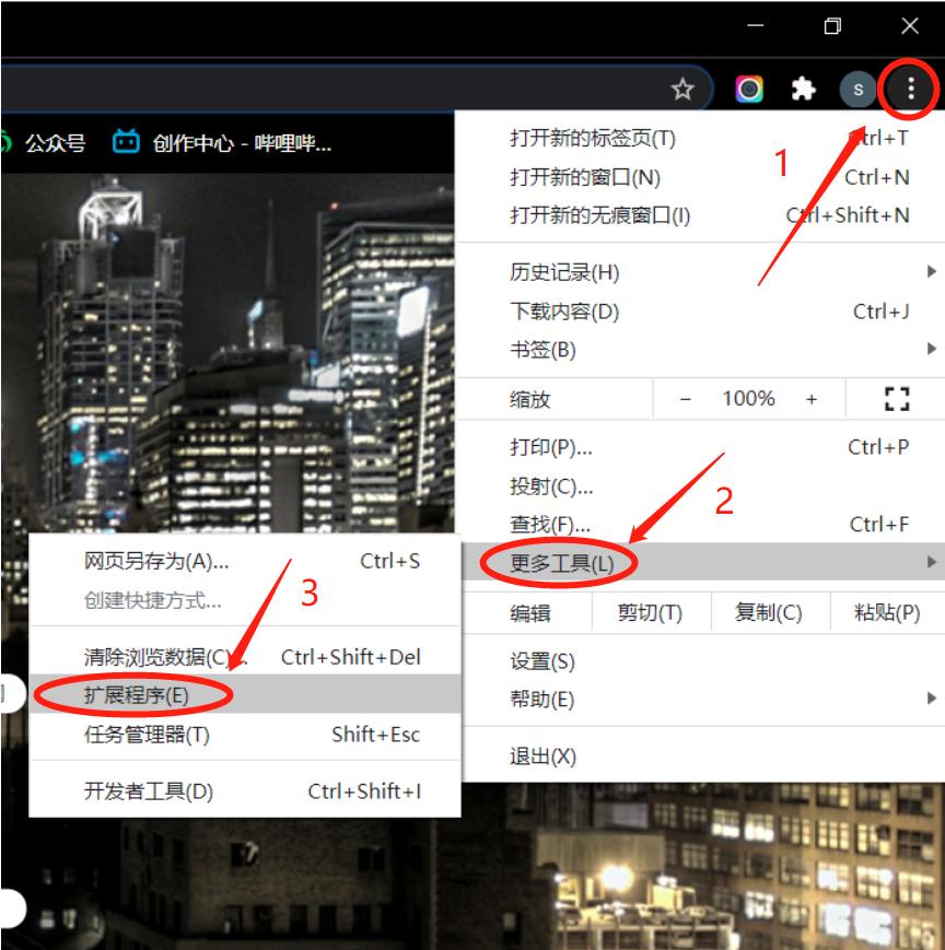 chrome插件谷歌访问助手,谷歌访问助手在哪里下
