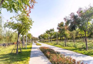 郑州周末骑行的好地方,春天郑州适合骑行的路线