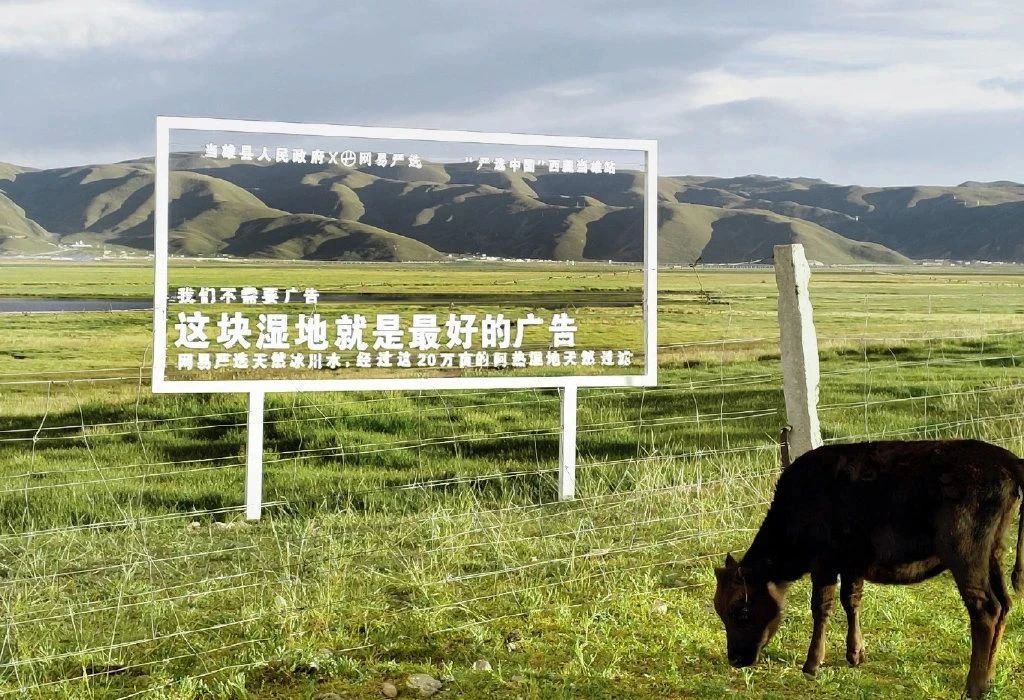 ​顶尖文案分享！一句千金的案例，都放在这里了