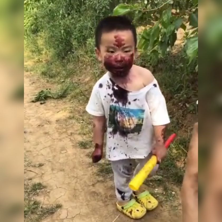 桑葚面膜,萌娃摘桑葚的视频