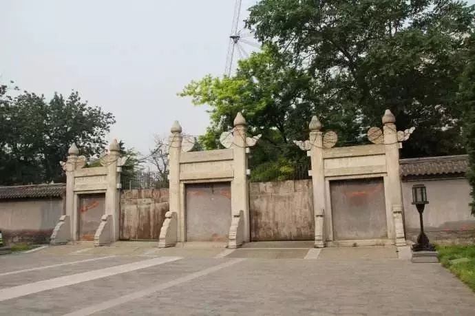 月坛银杏,月坛公园有银杏吗