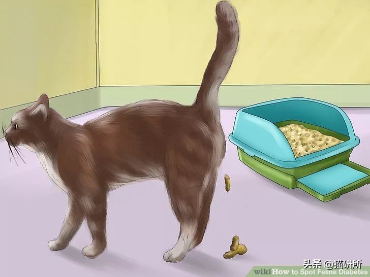 猫咪乱拉如何解决,猫咪乱拉处理方法