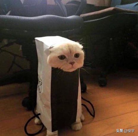 关于聚餐的幽默笑话大全,群友聚餐的幽默笑话