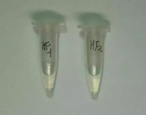 禁毒拒毒知识,十大禁毒知识大全