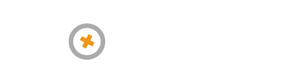 猫咪火车托运全指南：15个最常见问题全解答