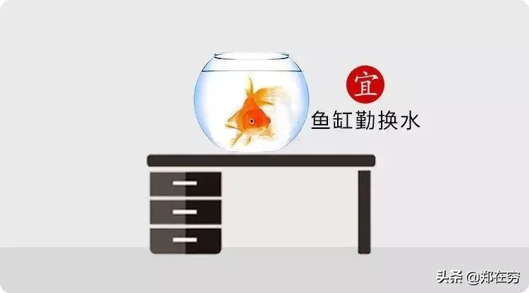 鱼缸摆放位置风水讲究图解大全,鱼缸摆放风水几点讲究
