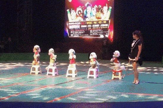 南宁华南城首届家装节,南宁家博会华南城