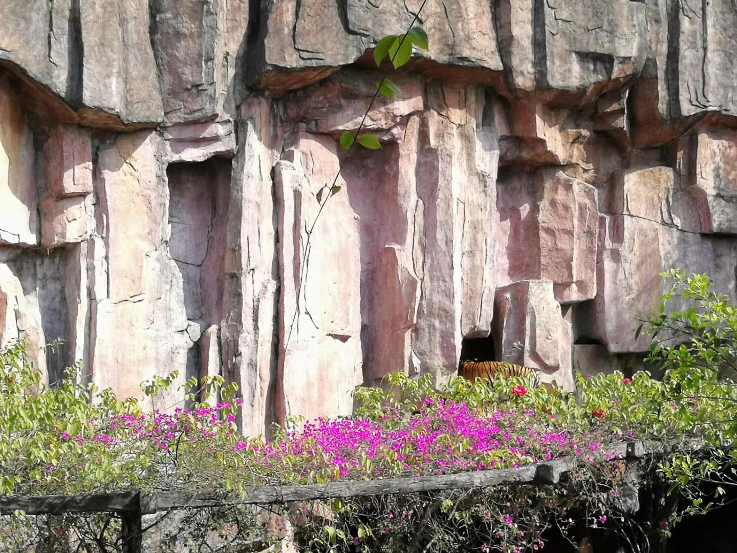 番禺地铁7号线旅游攻略,广州番禺七号线游玩攻略