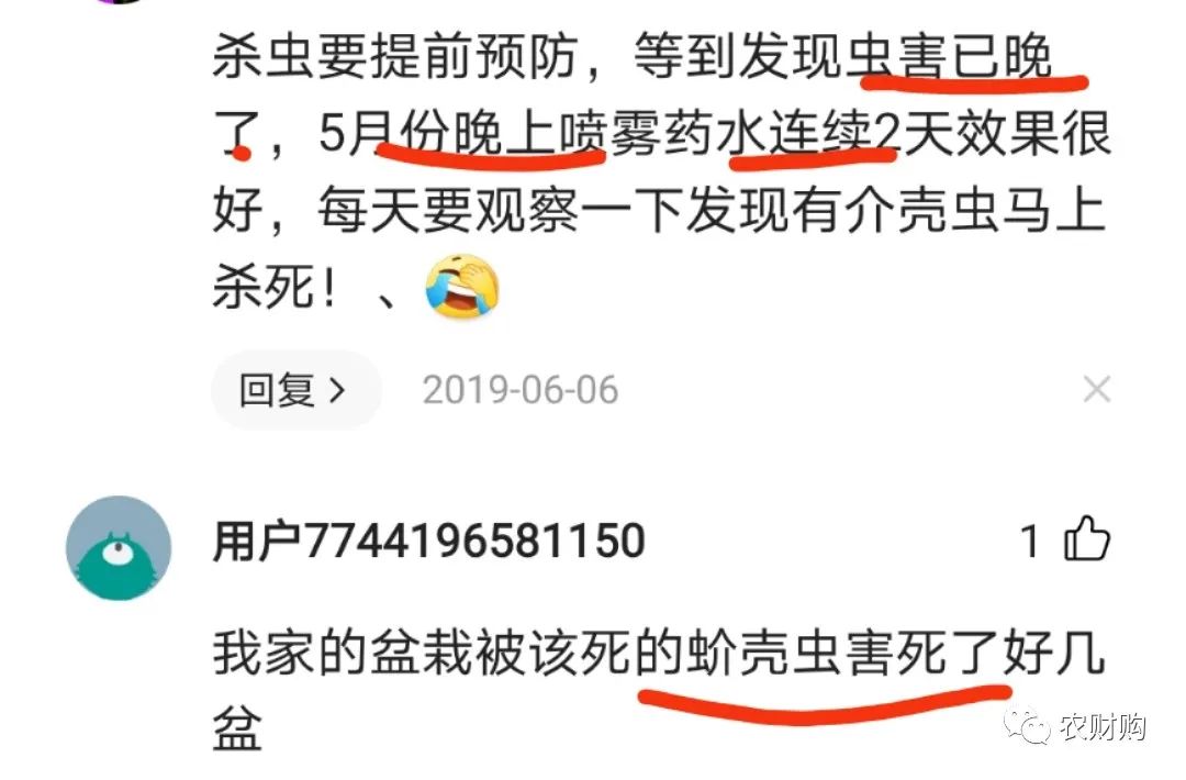 治蚧壳虫的土方法,用药指南蚧壳虫