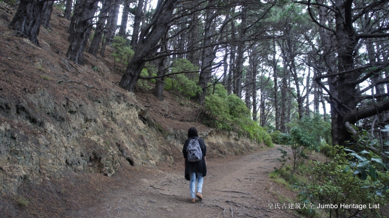 第61回：惠灵顿维多利亚山，蒂帕帕国家博物馆（上）