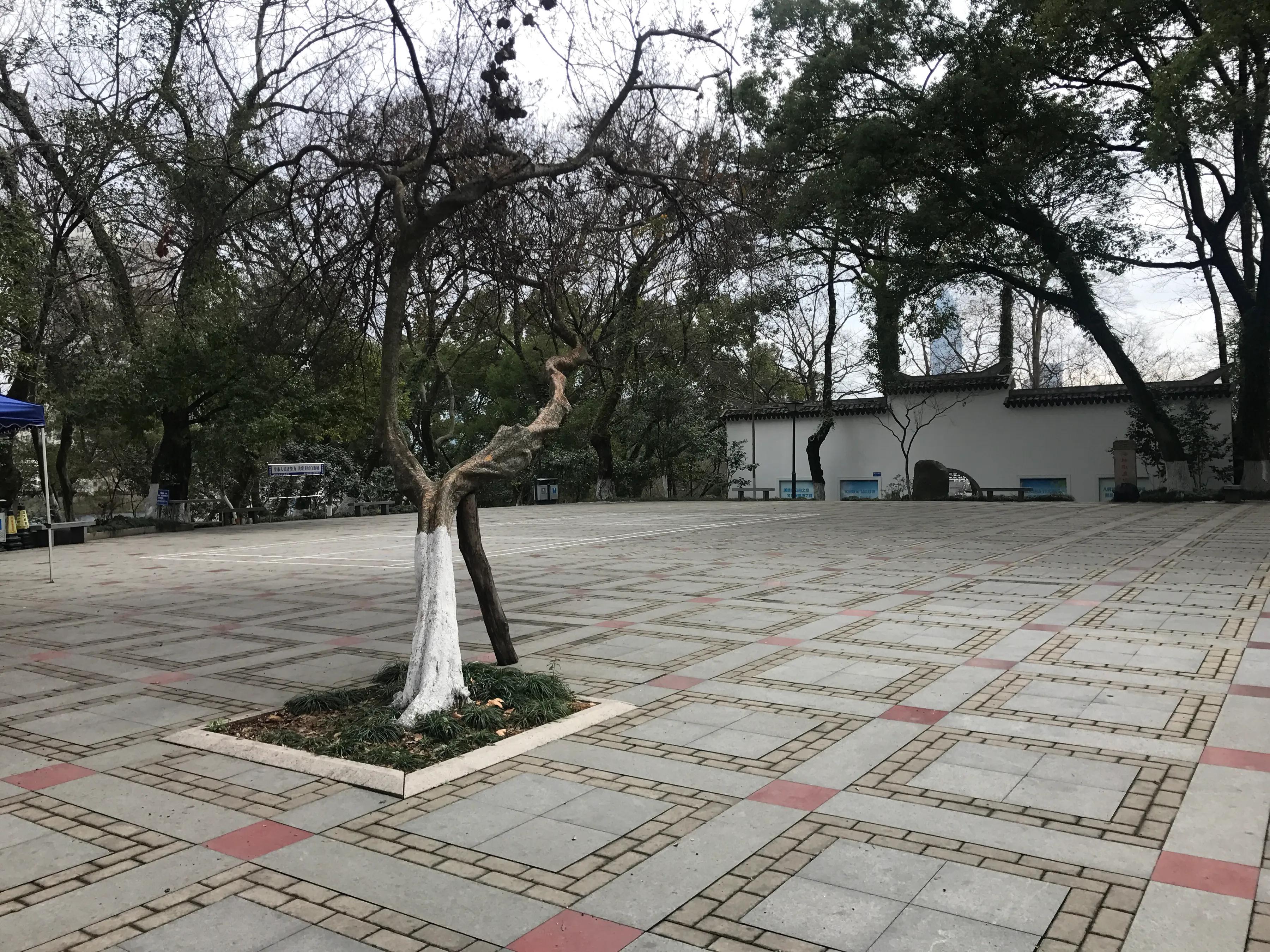 点亮温州,夜爬温州海坛山