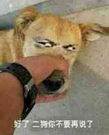 资源网站你们懂得！嘿嘿嘿