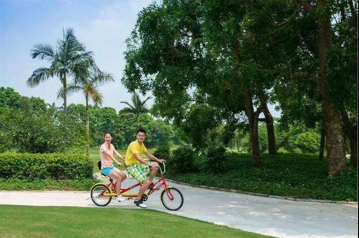 来喽·惠州候鸟印度洋风情别墅~网红泳池+休闲单车、农家特点菜