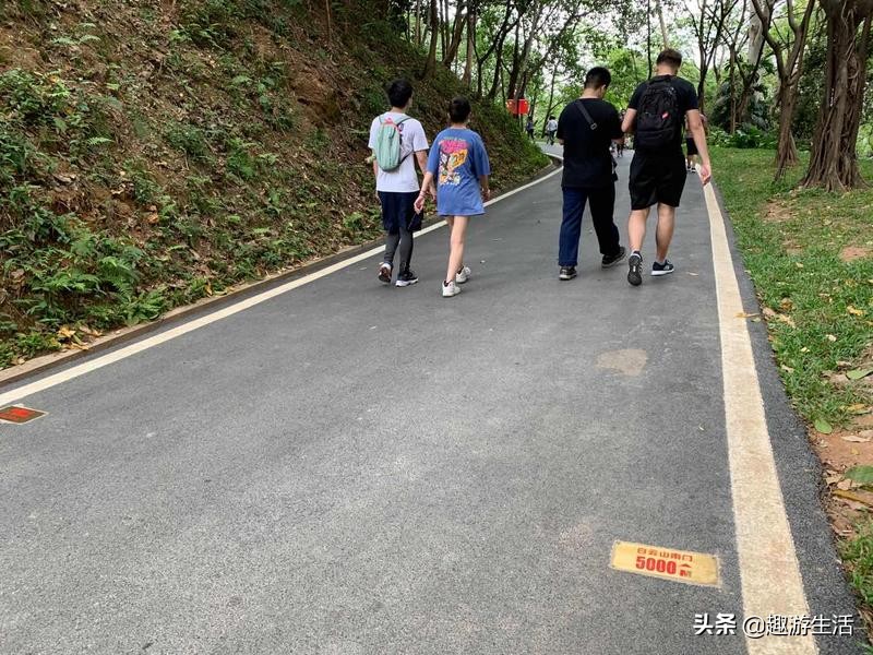 广州云道的5个入口,广州云道线路图高清版大图