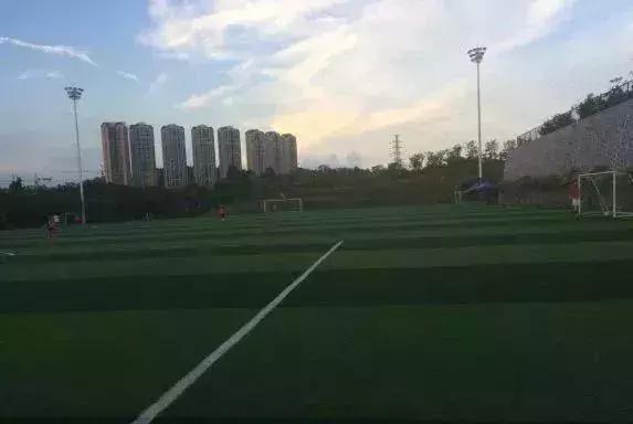 福田花卉世界最新规划,福田花卉世界新址