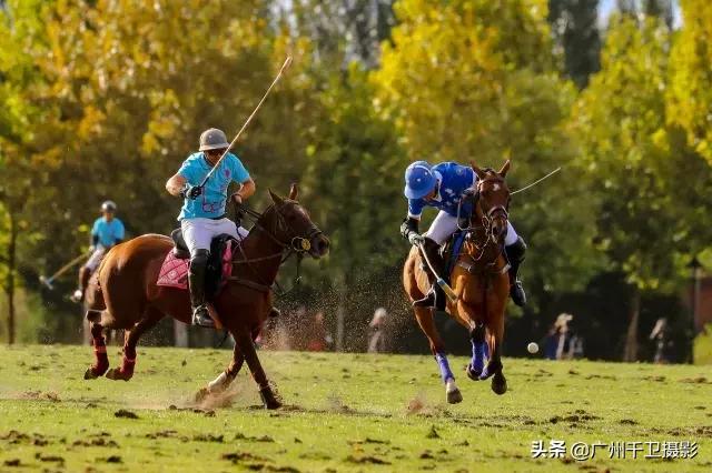 相机自动对焦怎么调最准确,相机连续对焦模式选择
