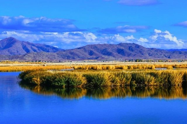椋為┌鏂扮枂,椹伴獘鐤嗗煙鏃呮父
