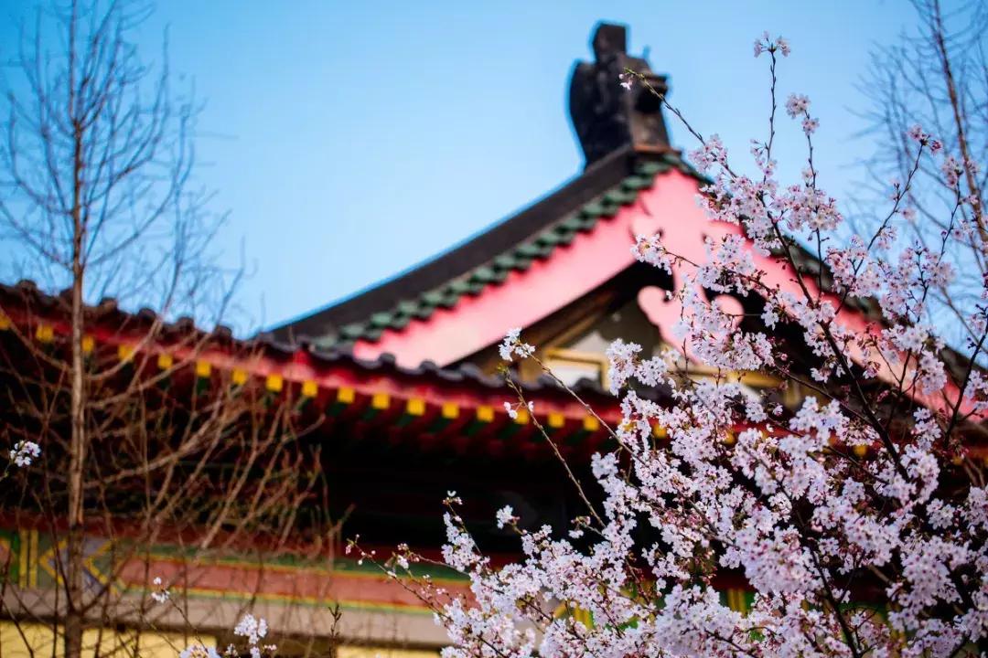 佛了！魔都周边9座「禁欲系寺院」，美到想出家！