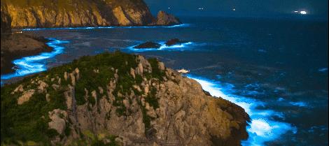 浙江景点花鸟岛,浙江风景花鸟岛