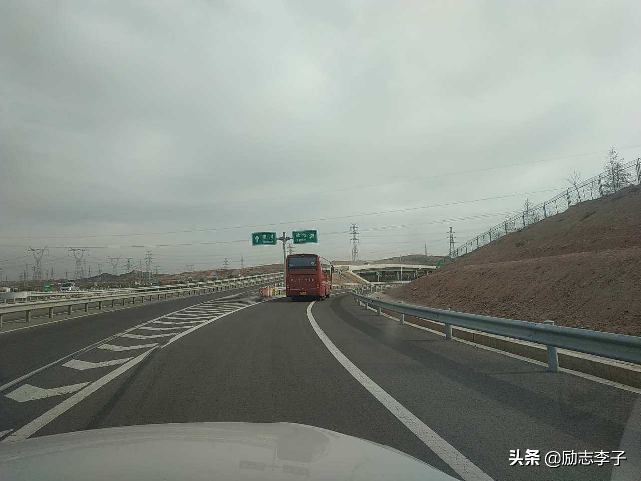 宁夏候鸟,候鸟监测简报