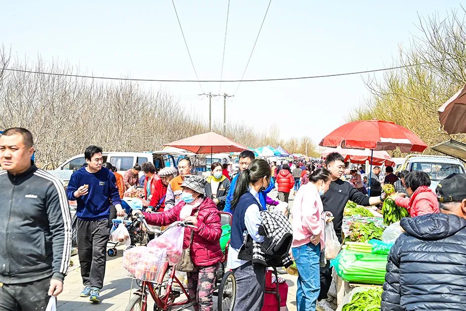 北京京郊大集地理位置,今天京郊哪有大集
