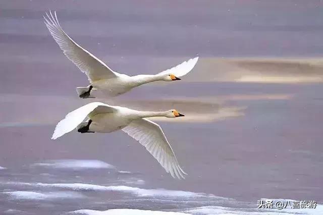 山东夏天值得去的旅游景点,夏天适合去的湖泊