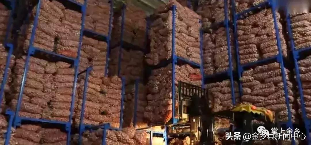 红五月邀请函,红色主题邀请函