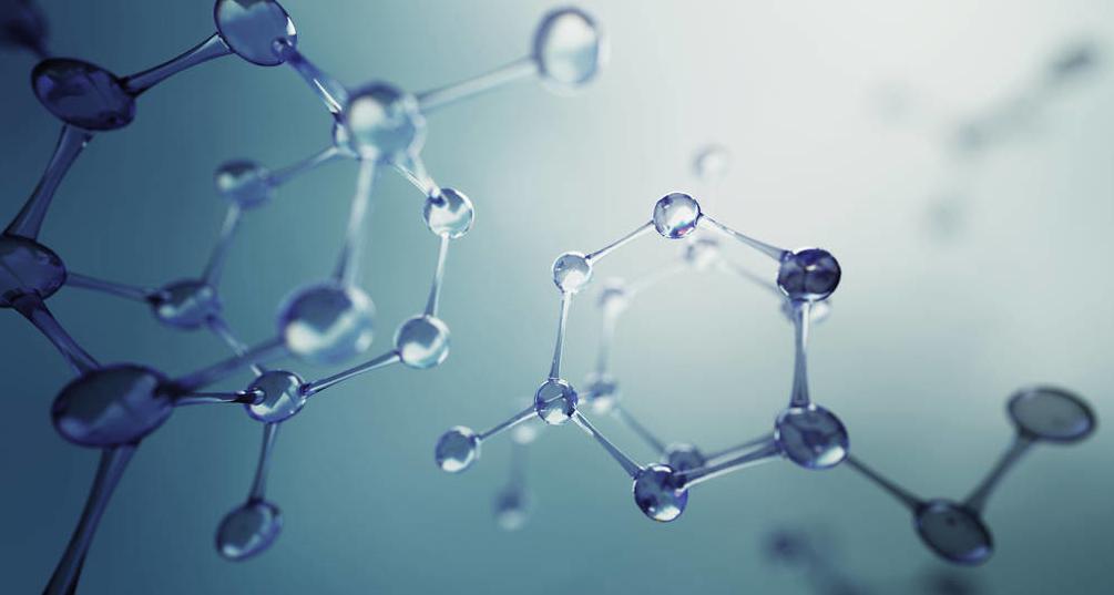 新版高中生物概念必背大全,高中生物必背概念汇总