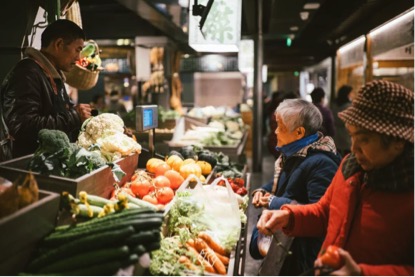 苏州古城一日游最佳路线,苏州古城线路攻略