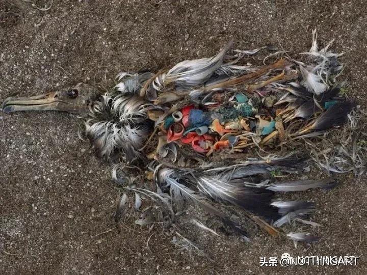 给明星做造型的“垃圾”行为艺术家？雷人背后的那一份深刻……