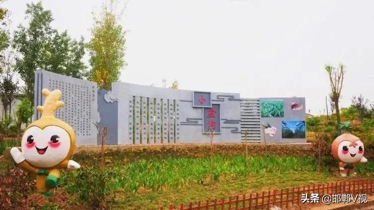 生姜种出脱贫致富路,生姜产业带动了地方经济